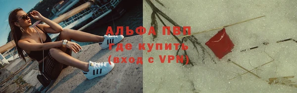 стафф Нефтегорск