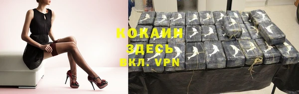 прущие грибы Нея