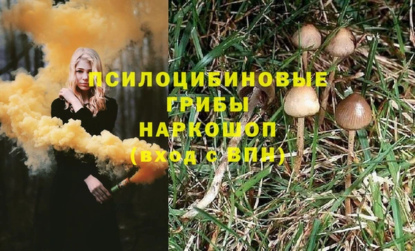 прущие грибы Нея