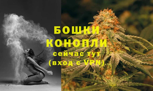 прущие грибы Нея