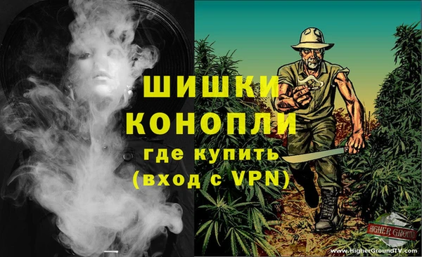 прущие грибы Нея