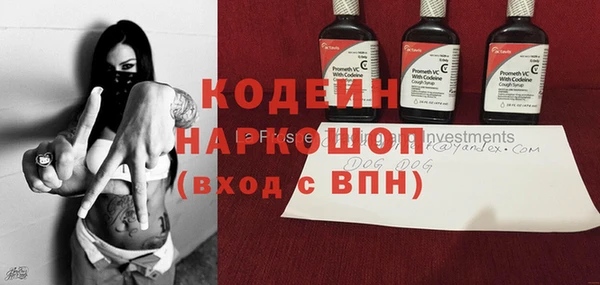 прущие грибы Нея