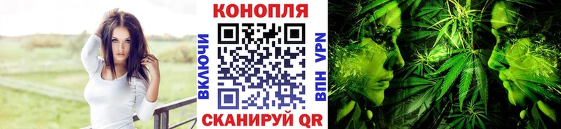 Конопля индика  Фатеж 